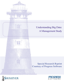 Understanding Big Data: a Management Study