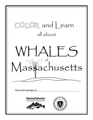 Color and Learn About Whales in MA