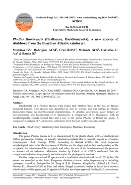 Phallus Fluminensis, a New Species of Stinkhorn from the Brazilian Atlantic Rainforest