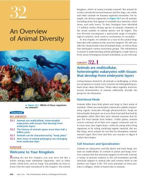 An Overview of Animal Diversity 655
