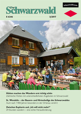 Hütten Machen Das Wandern Erst Richtig Schön Zahlreiche Hütten Mit Unterschiedlichsten Angeboten Im Schwarzwald St
