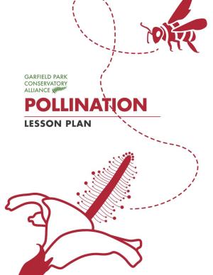 POLLINATION LESSON PLAN LESSON PLAN Pollination the Birds and the Bees TEACHER INFORMATION