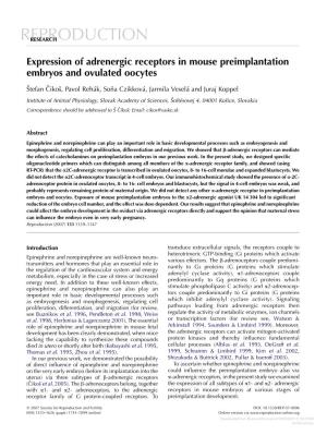 Expression of Adrenergic Receptors in Mouse Preimplantation Embryos and Ovulated Oocytes