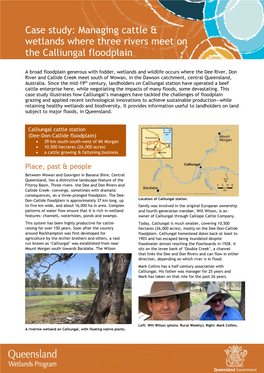 Case Study: Managing Cattle & Wetlands Where Three Rivers Meet on the Calliungal Floodplain