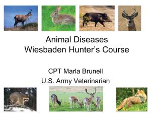 Animal Diseases Wiesbaden Hunter's Course
