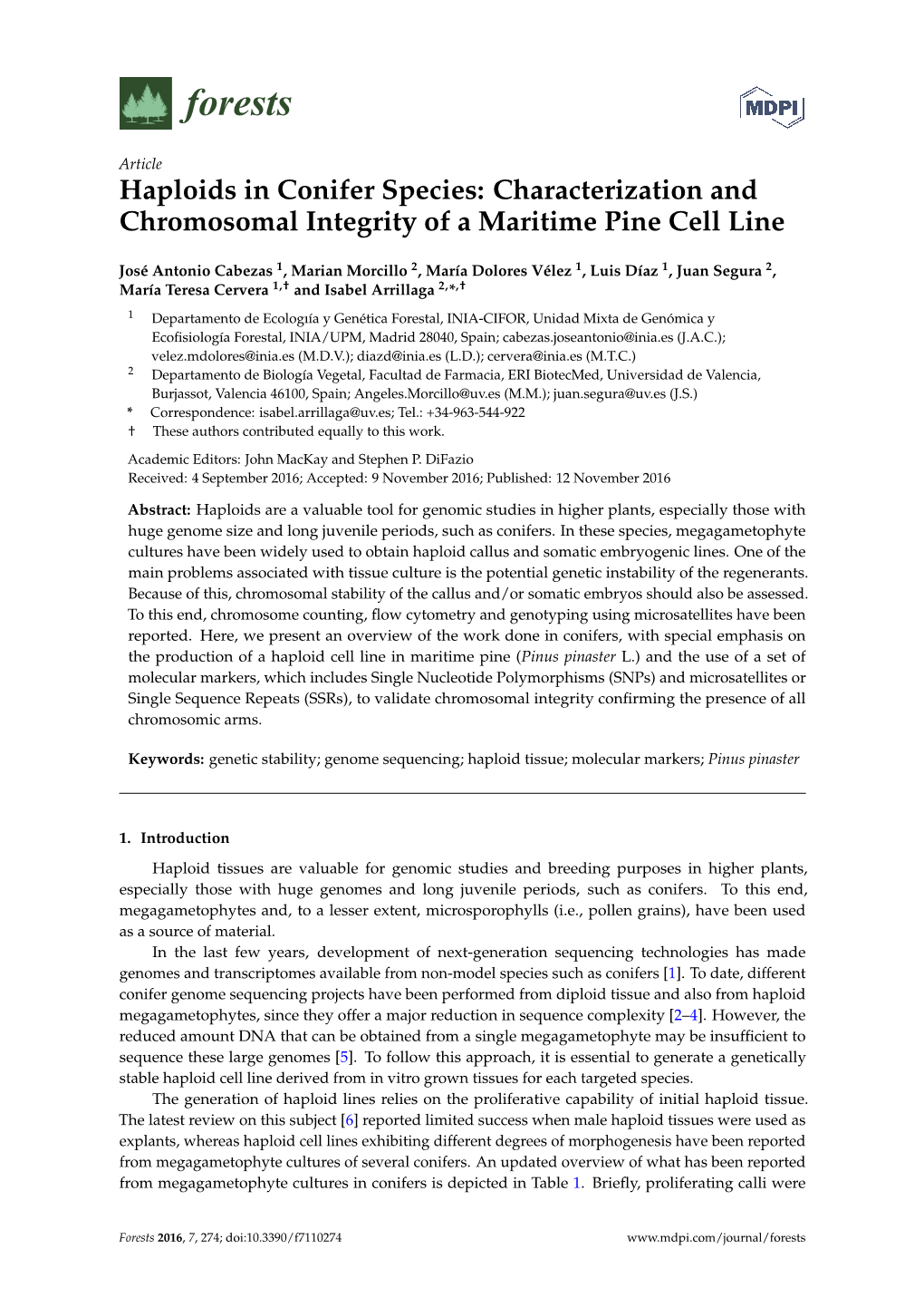 Haploids in Conifer Species: Characterization and Chromosomal Integrity of a Maritime Pine Cell Line