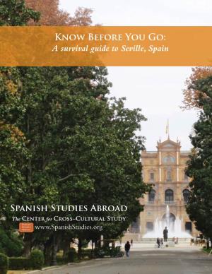 A Survival Guide to Seville, Spain