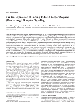 The Full Expression of Fasting-Induced Torpor Requires ␤3-Adrenergic Receptor Signaling