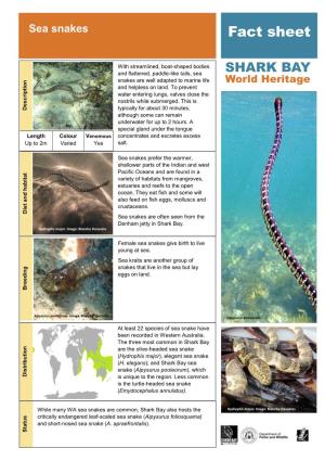 Sea Snakes Fact Sheet