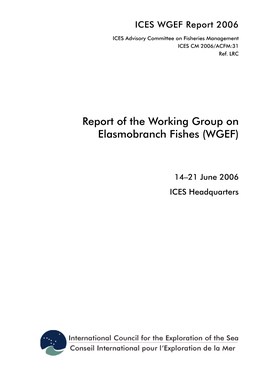 Report of the Working Group Onelasmobranch Fishes (WGEF). ICES CM 2006/ACFM:31