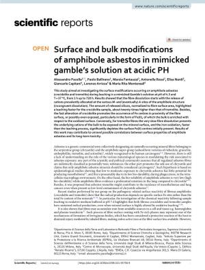 Surface and Bulk Modifications of Amphibole Asbestos in Mimicked