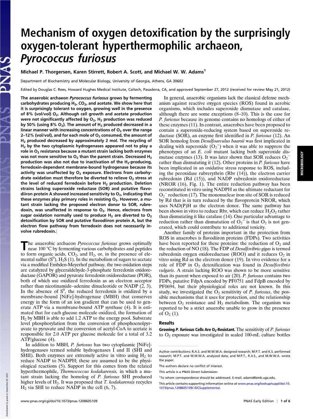 Pyrococcus Furiosus