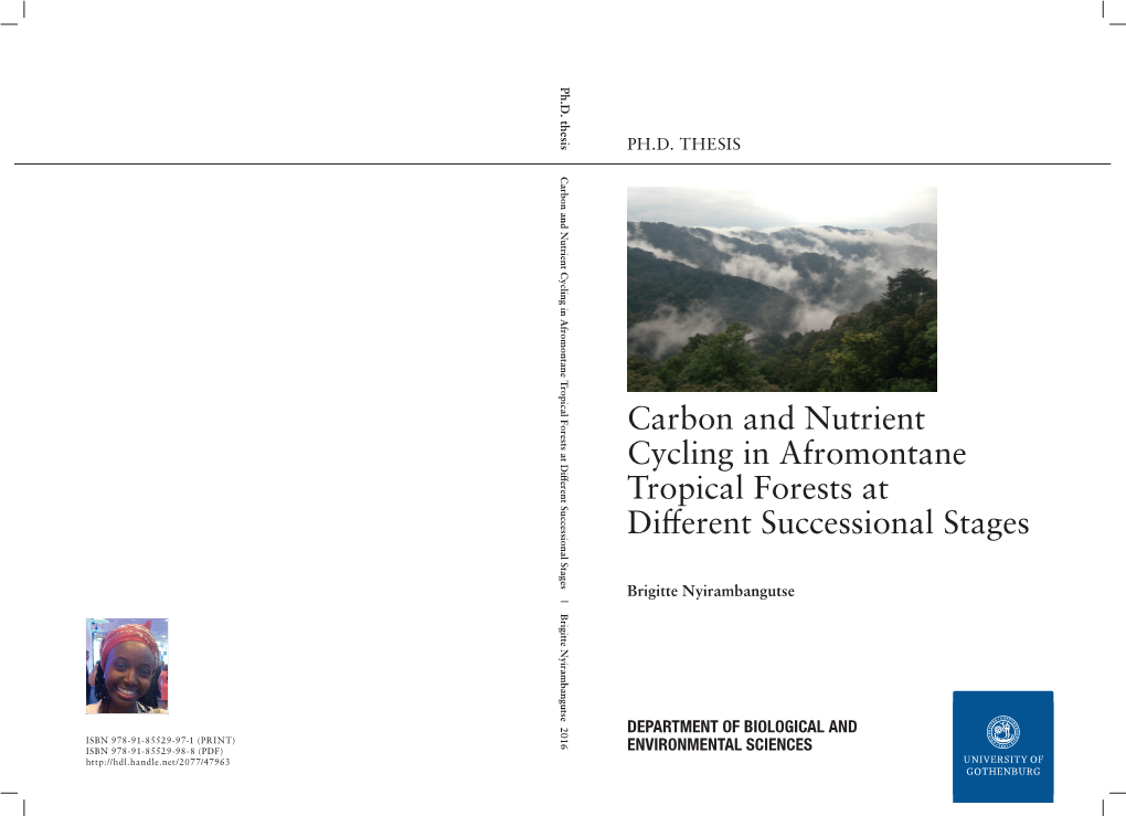 Carbon and Nutrient Cycling in Afromontane Tropical Forests at Different Successional Stages