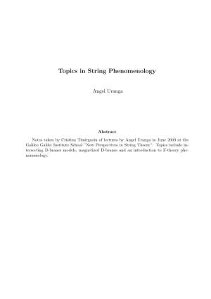 Topics in String Phenomenology