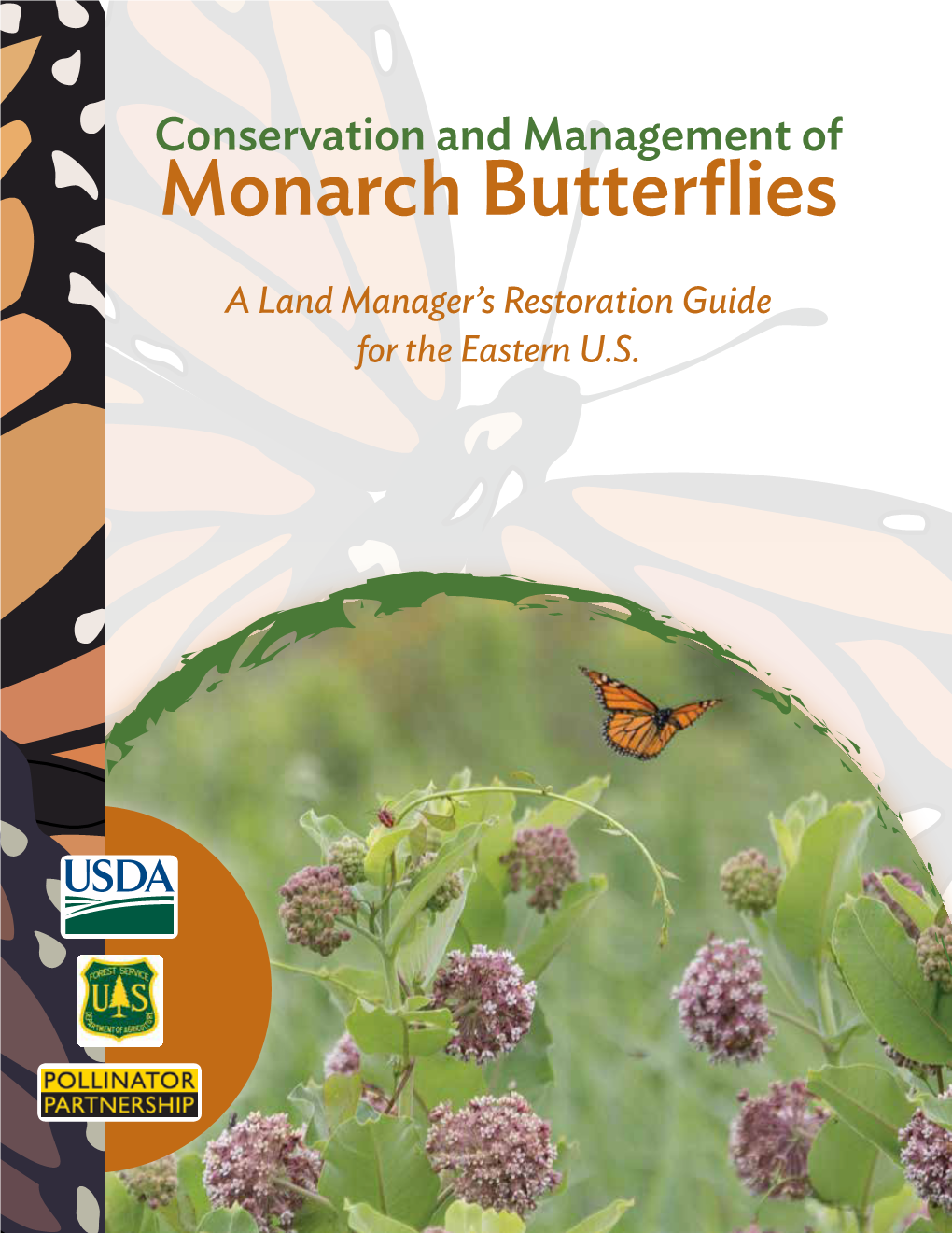 Monarch Butterflies