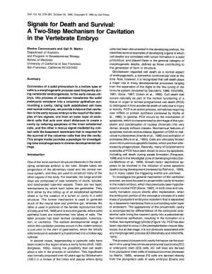 A Two-Step Mechanism for Cavitation in the Vertebrate Embryo