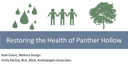 Restoring the Health of Panther Hollow