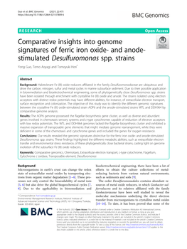 Comparative Insights Into Genome Signatures of Ferric Iron Oxide-And