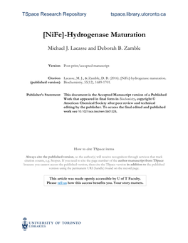 [Nife]-Hydrogenase Maturation
