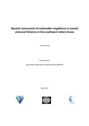 Bycatch Assessment of Vulnerable Megafauna in Coastal Artisanal Fisheries in the Southwest Indian Ocean