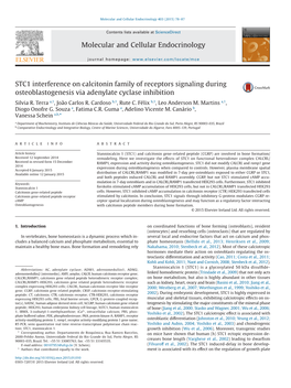 STC1 Interference on Calcitonin Family of Receptors Signaling During Osteoblastogenesis Via Adenylate Cyclase Inhibition Silvia R