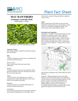 May Hawthorn Plant Fact Sheet