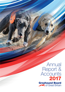 Annual Report & Accounts 2017