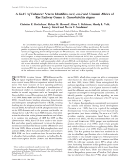 A Lin-45 Raf Enhancer Screen Identifies Eor-1, Eor-2 and Unusual Alleles Of