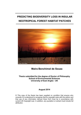 Predicting Biodiversity Loss in Insular Neotropical Forest Habitat Patches