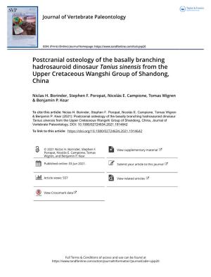 Postcranial Osteology of the Basally Branching Hadrosauroid Dinosaur Tanius Sinensis from the Upper Cretaceous Wangshi Group of Shandong, China