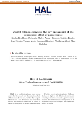 Cav3.2 Calcium Channels
