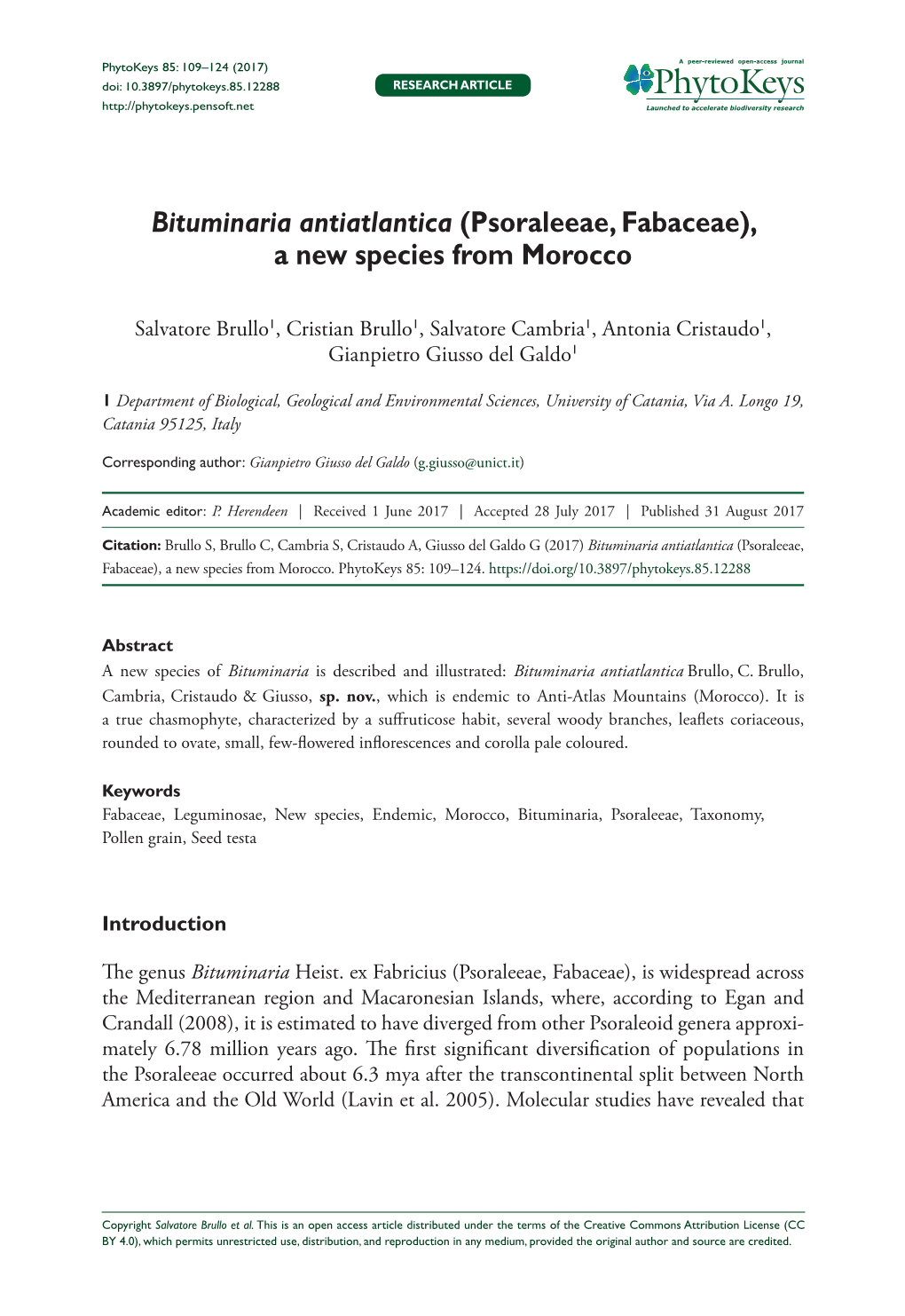 Bituminaria Antiatlantica (Psoraleeae, Fabaceae), a New Species from Morocco