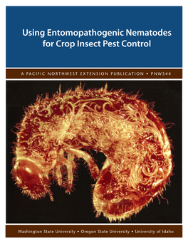 Using Entomopathogenic Nematodes for Crop Insect Pest Control