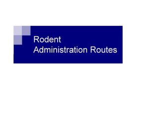 Administration Routes