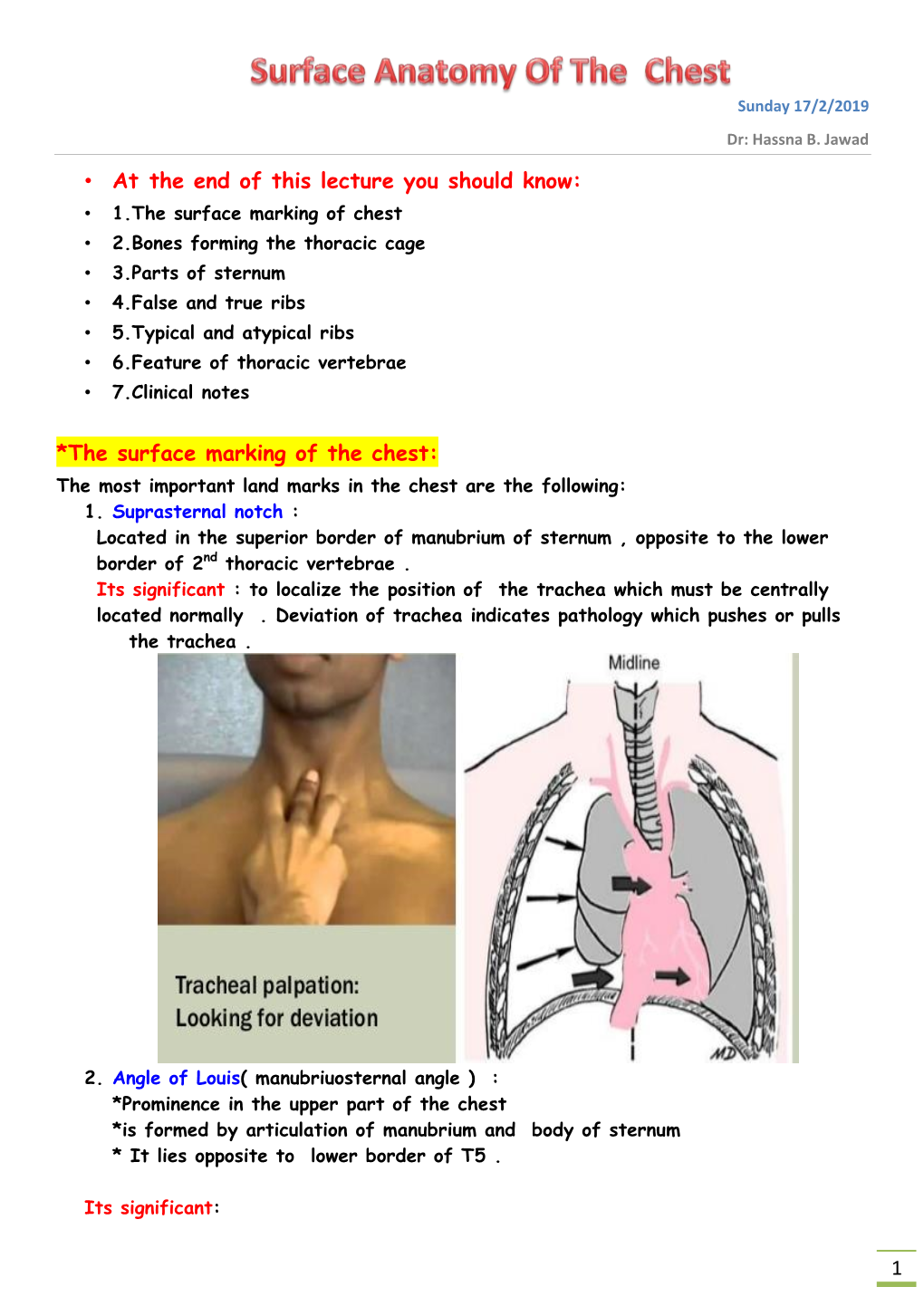 Surface Anatomy of the Chest