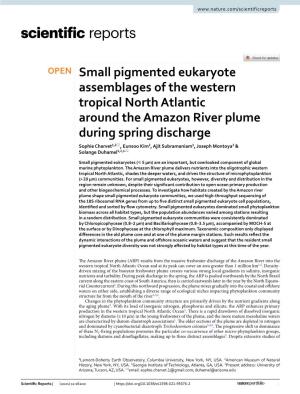 Small Pigmented Eukaryote Assemblages of the Western Tropical