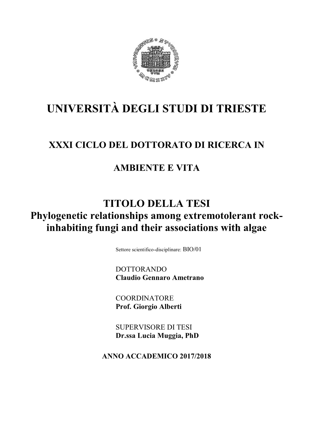 Università Degli Studi Di Trieste Xxxi Ciclo Del