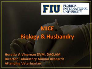 Mice – Biology and Husbandry