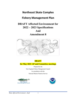 Northeast Skate Complex Fishery Management Plan