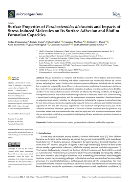 Surface Properties of Parabacteroides Distasonis and Impacts of Stress-Induced Molecules on Its Surface Adhesion and Bioﬁlm Formation Capacities