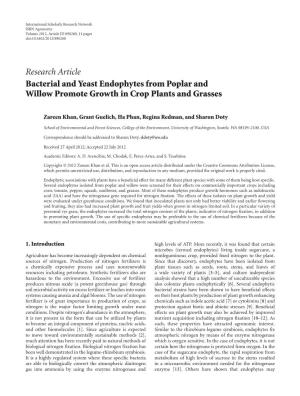 Research Article Bacterial and Yeast Endophytes from Poplar and Willow Promote Growth in Crop Plants and Grasses