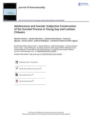 Subjective Construction of the Suicidal Process in Young Gay and Lesbian Chileans