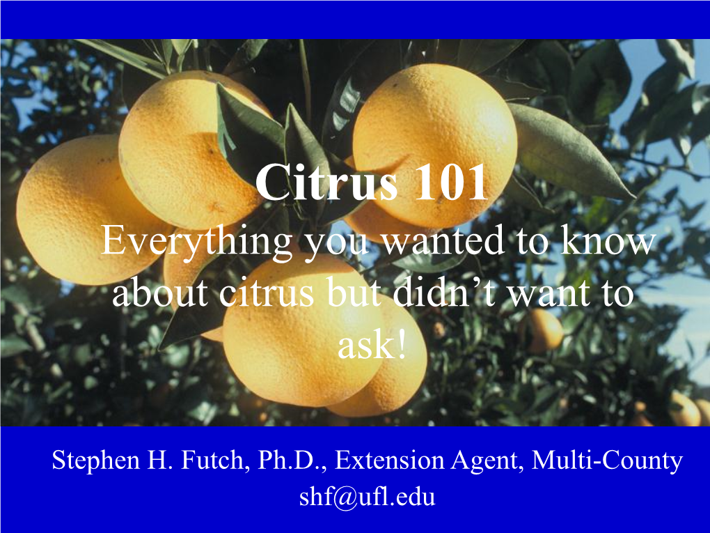 A Guide to Citrus Diseases