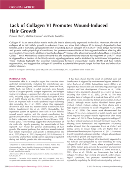 Lack of Collagen VI Promotes Wound-Induced Hair Growth Peiwen Chen1, Matilde Cescon1 and Paolo Bonaldo1