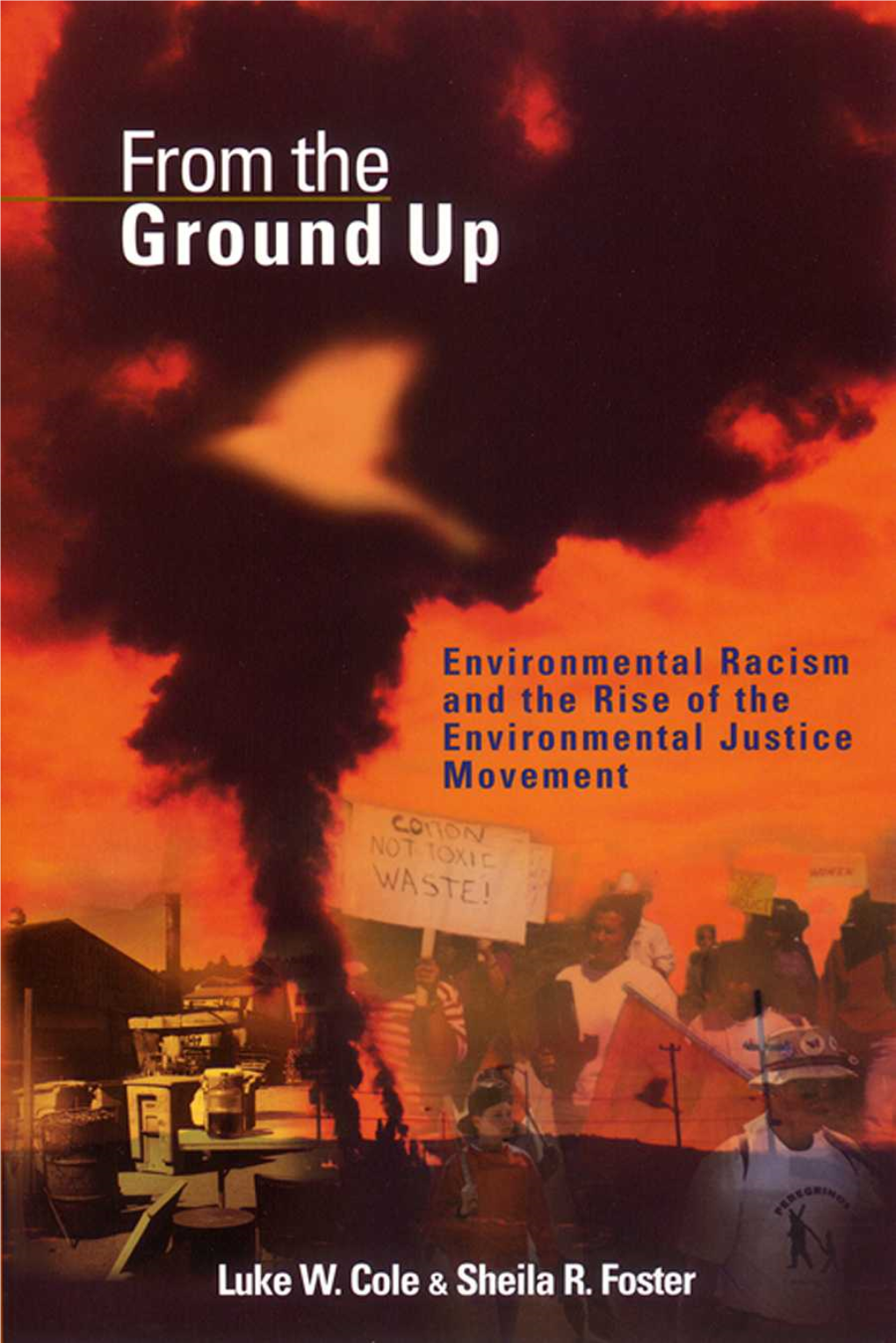 From the Ground Up: Environmental Racism and the Rise of the Environmental Justice Movement Luke W