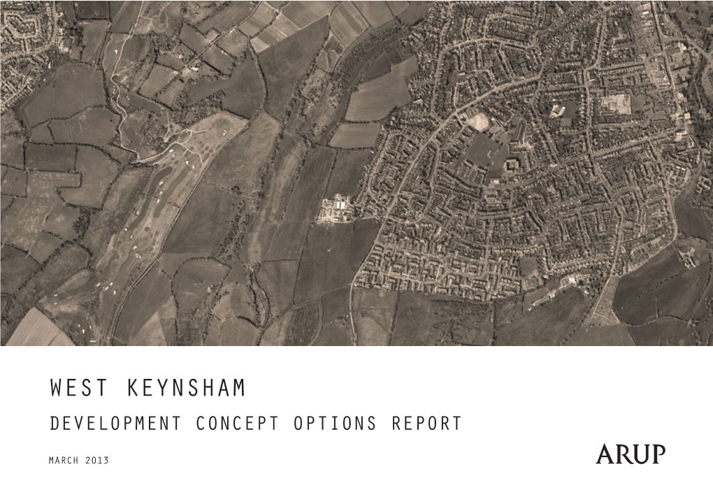 West Keynsham Development Concept OPTIONS REPORT