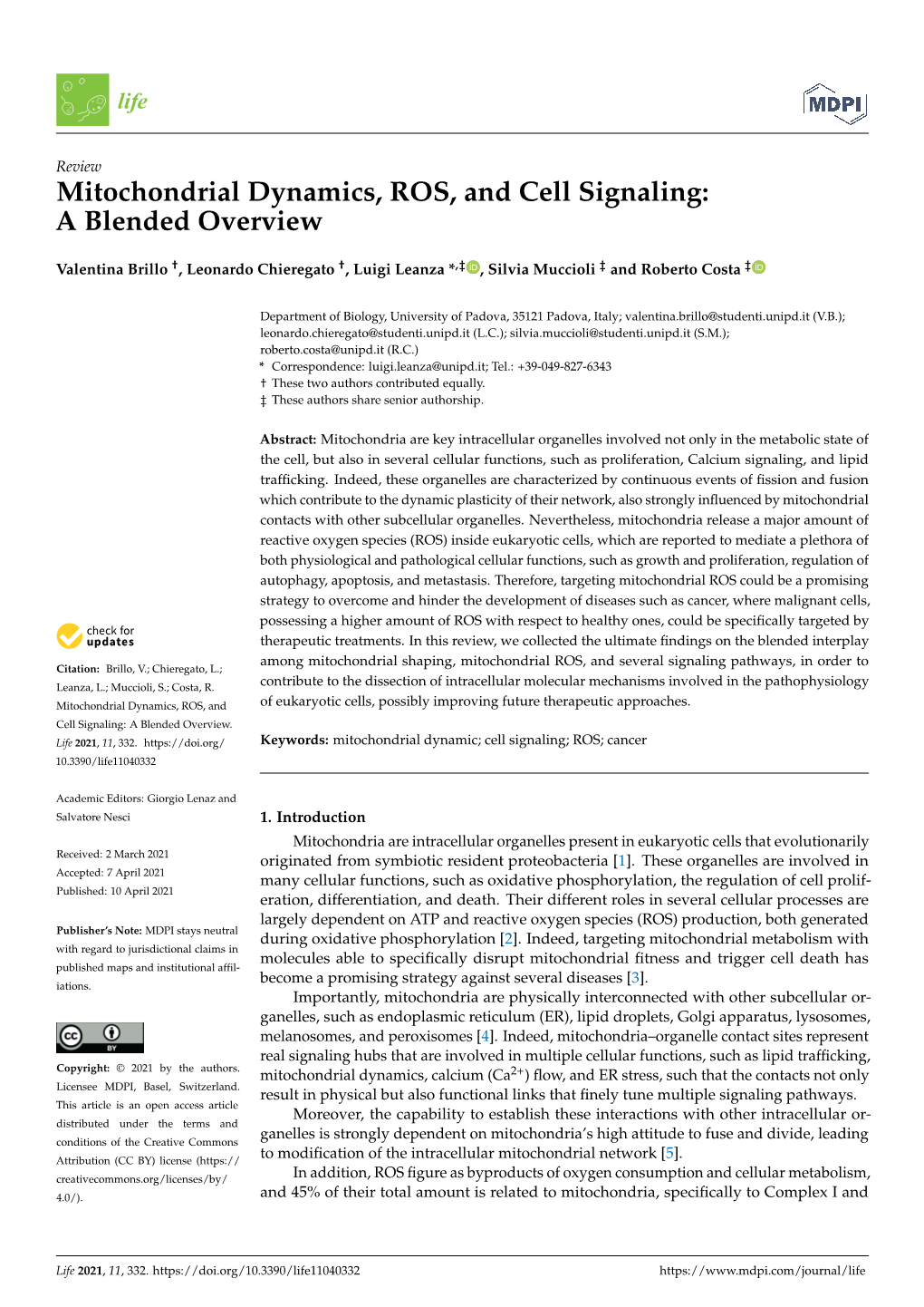 Mitochondrial Dynamics, ROS, and Cell Signaling: a Blended Overview