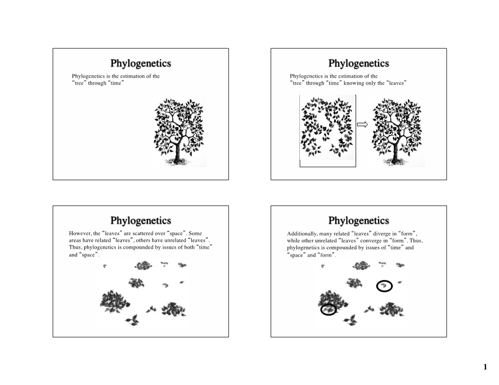 Phylogenetics Phylogenetics Phylogenetics Phylogenetics