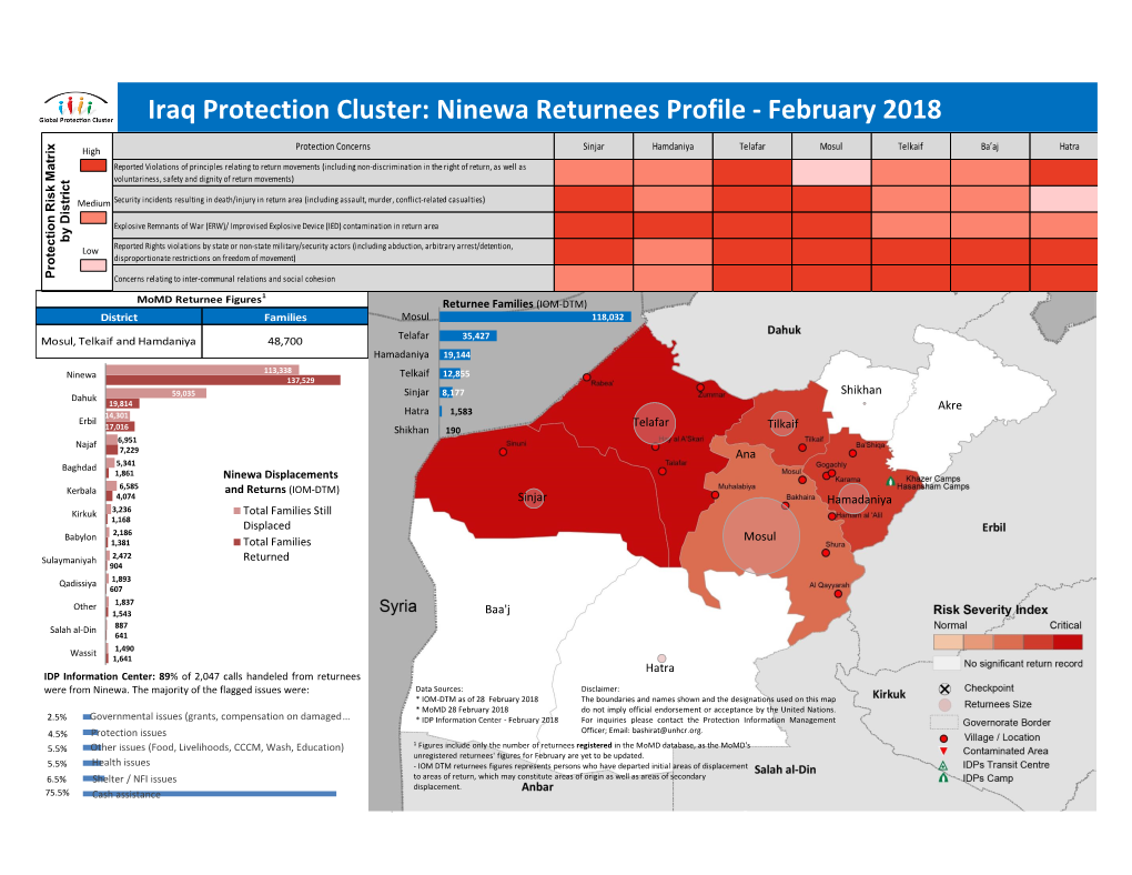 Iraq Protection Cluster: Ninewa Returnees Profile - February 2018