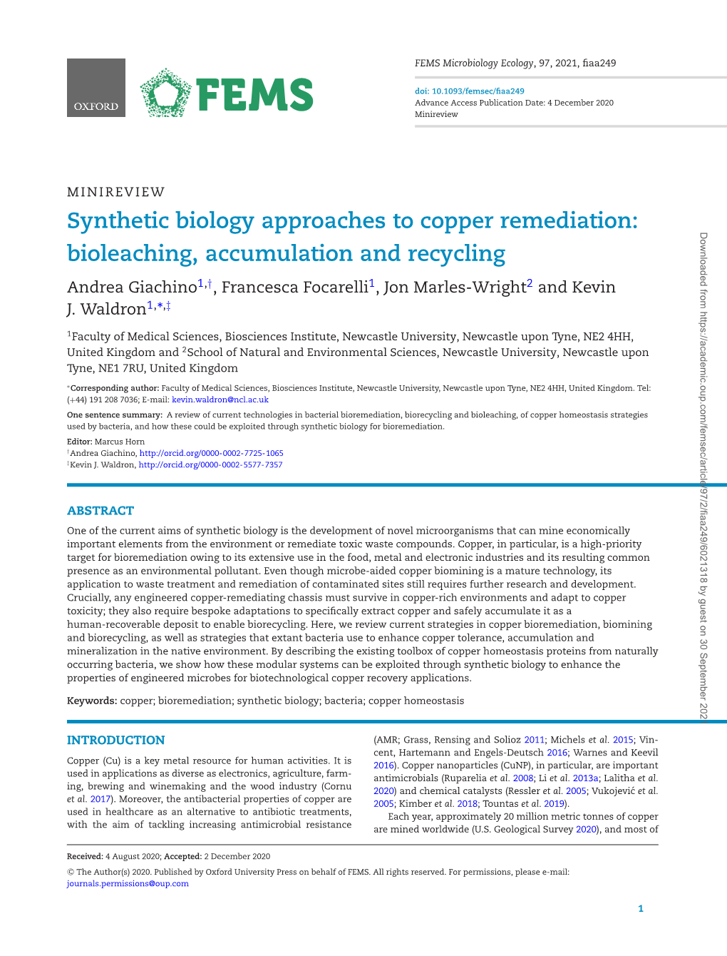 Synthetic Biology Approaches to Copper Remediation: Bioleaching, Accumulation and Recycling